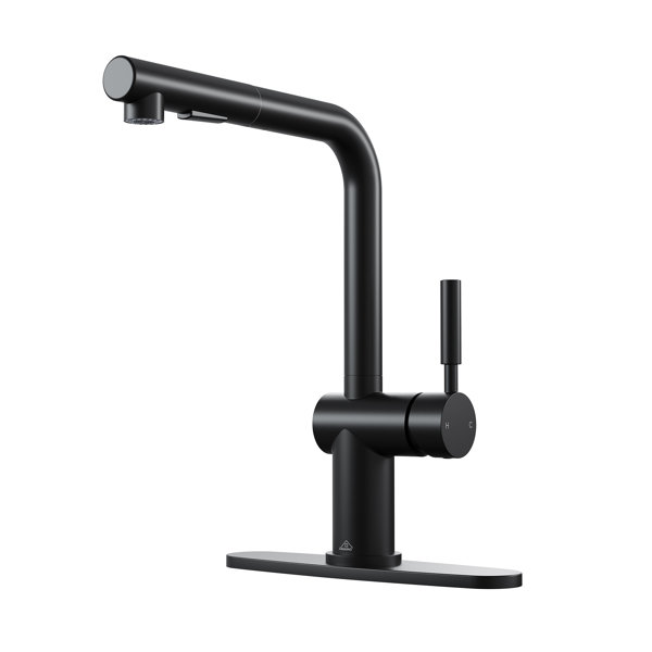 CASAINC Single-Handle Pull Out Kitchen Single Hole Faucet with Deck